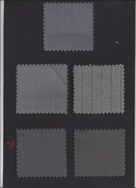 echantillon tissu ciel de toit.jpg